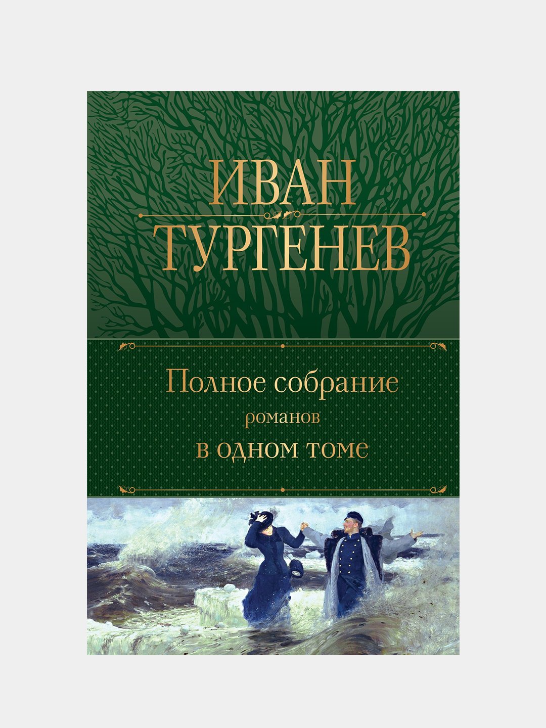 Тургенев Купить В Орле