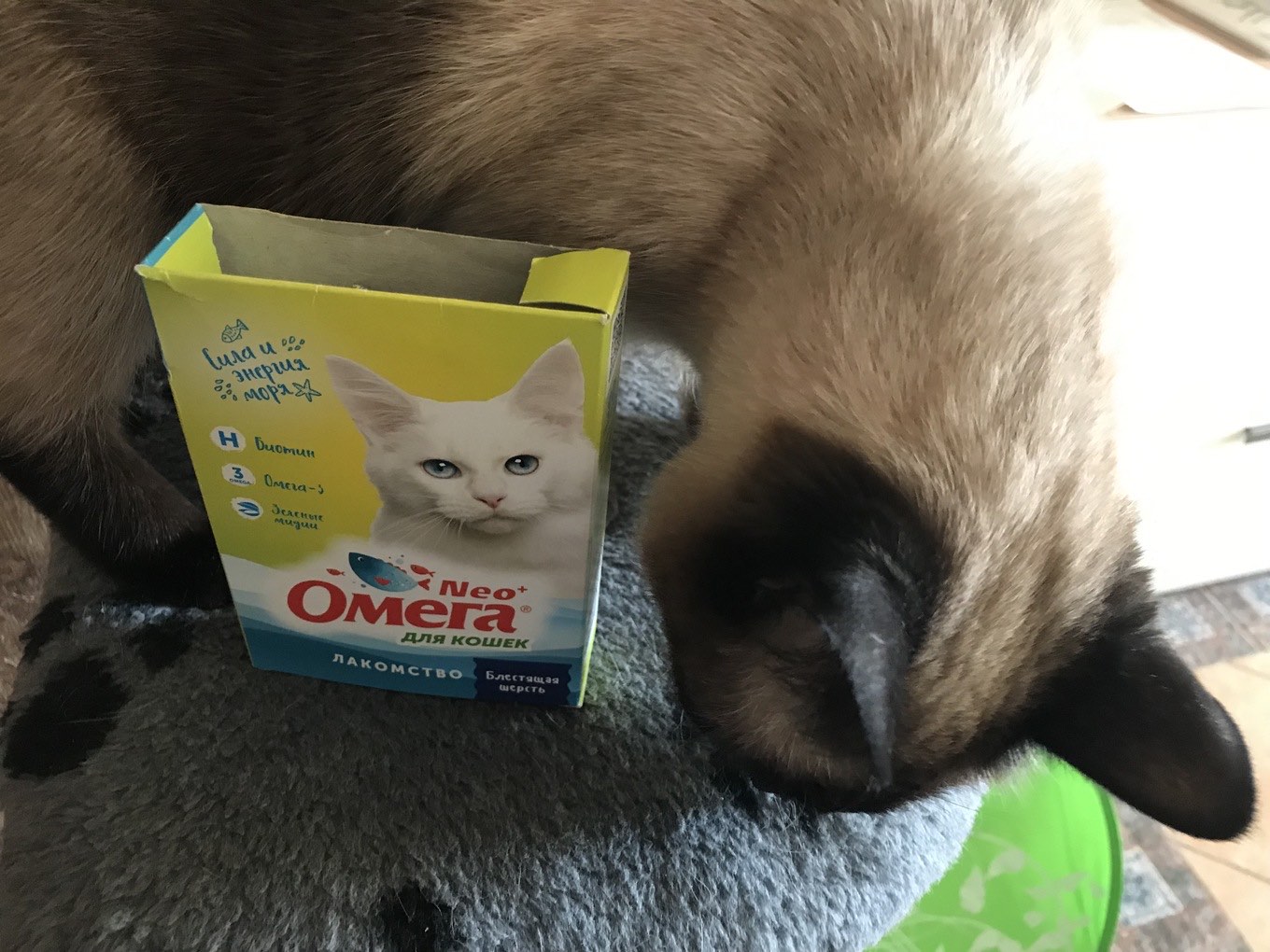 Mushuklar uchun Omega Neo "Yaltiroq jun" taomi