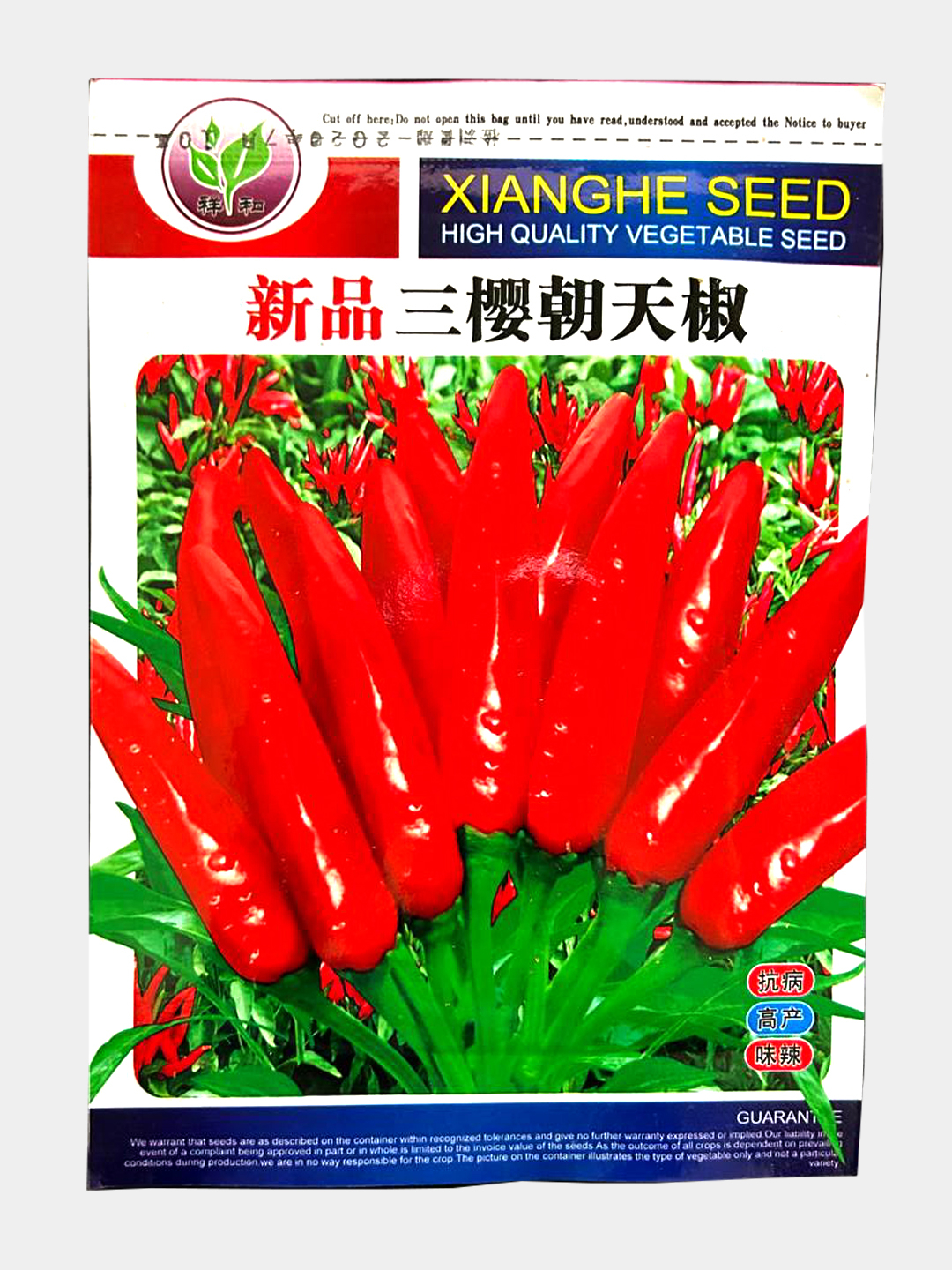 Ginekolog bilan yosh qizlar porno