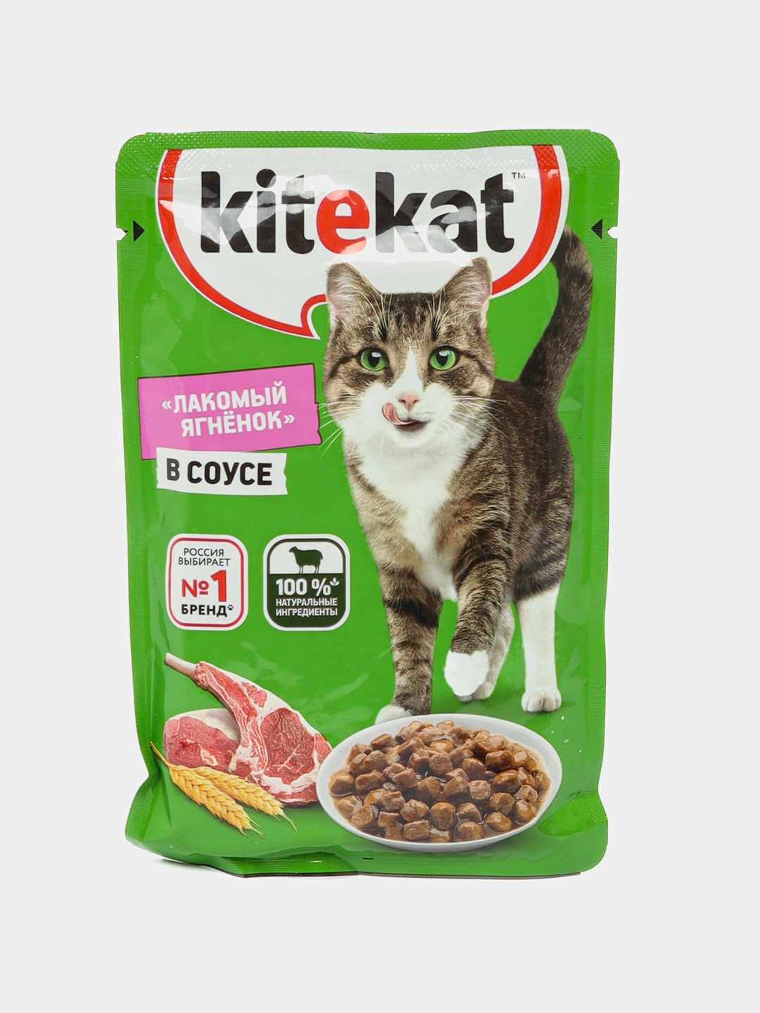 Etaklari ostidagi tukli mushuklar