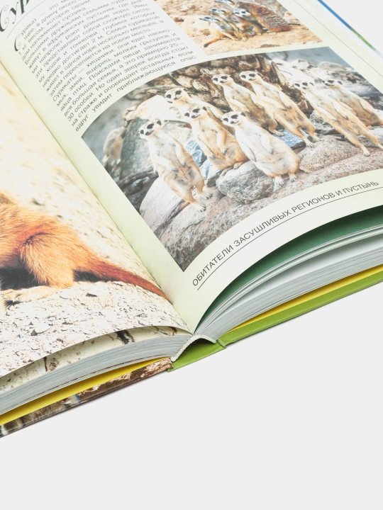 Большая книга о животных, 1001 фотография, Ермакович Дарья