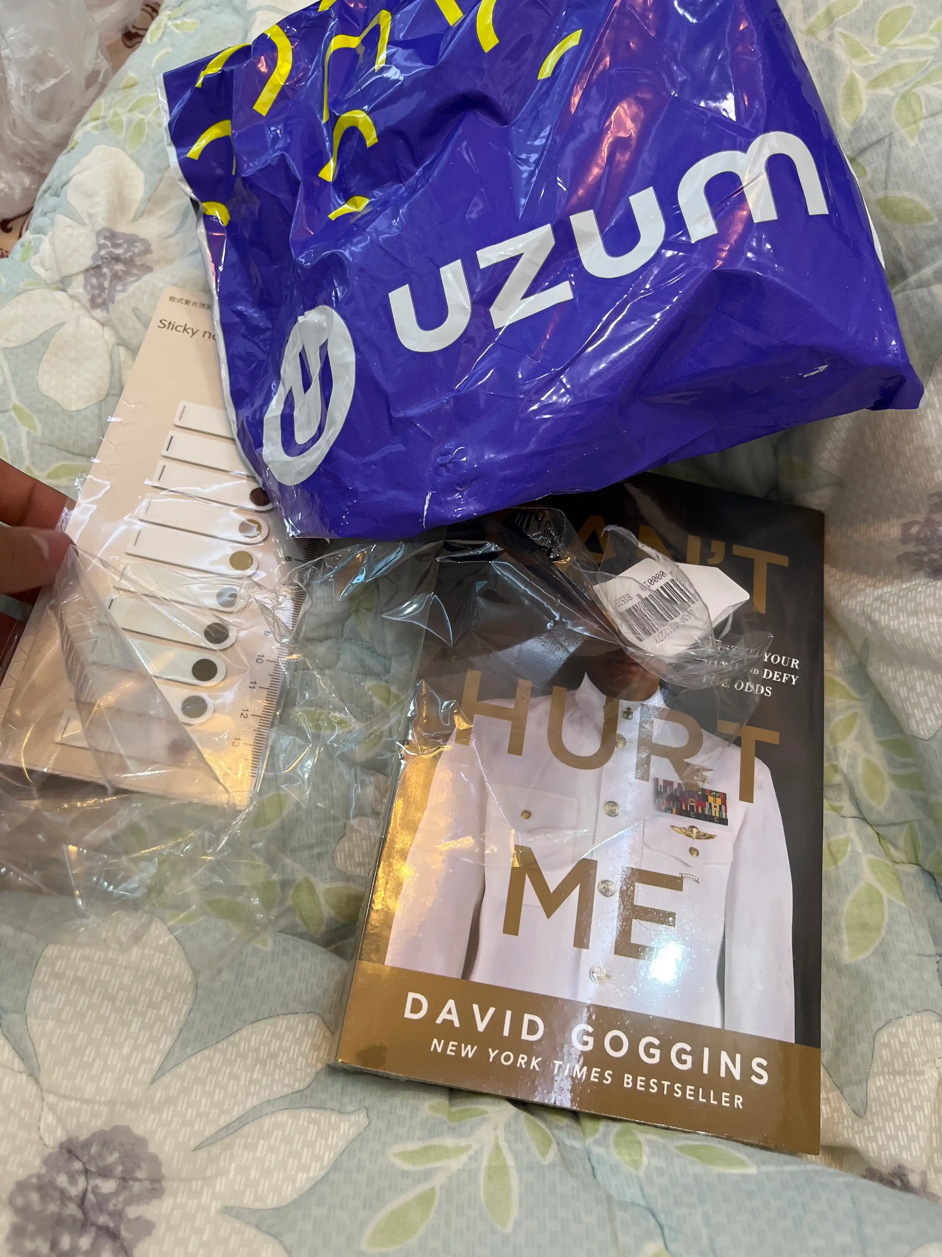 Can't Hurt Me, David Goggins