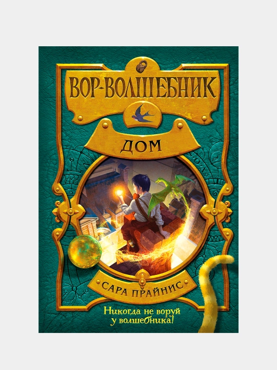 Вор-волшебник. Дом, Сара Прайнис - 