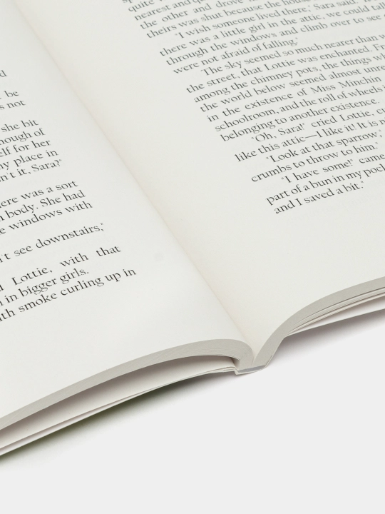 Frances Hodgson Burnett. A little Princess (eng)