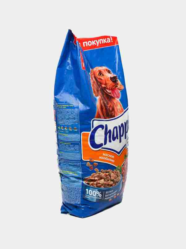 Oyoqlari orasida oq panties bor