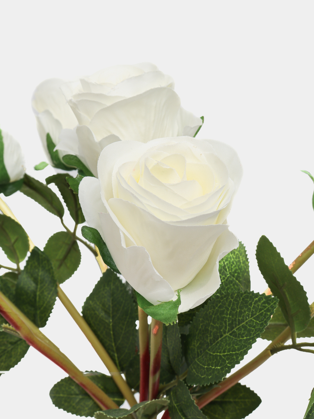 Klitorning porno videosi Oriq gey porno