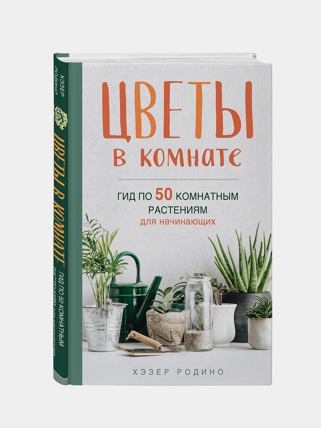 Цветы в комнате гид по 50 комнатным растениям для начинающих