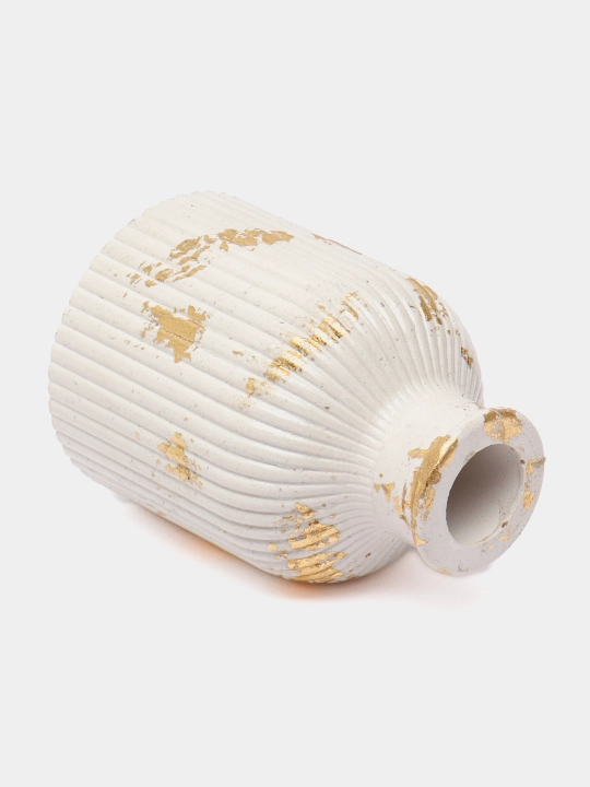 Gips guldon, quritilgan gullar uchun