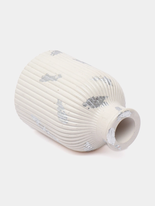 Gips guldon, quritilgan gullar uchun