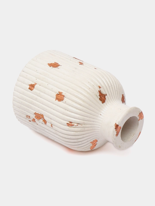 Gips guldon, quritilgan gullar uchun