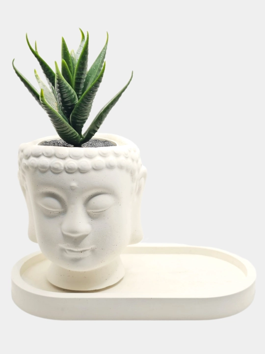 Kashpo "Budda boshi", podstavka va gul bilan to'plamda, va alohida
