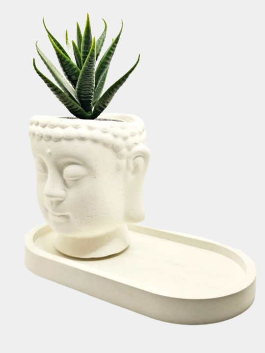 Kashpo "Budda boshi", podstavka va gul bilan to'plamda, va alohida