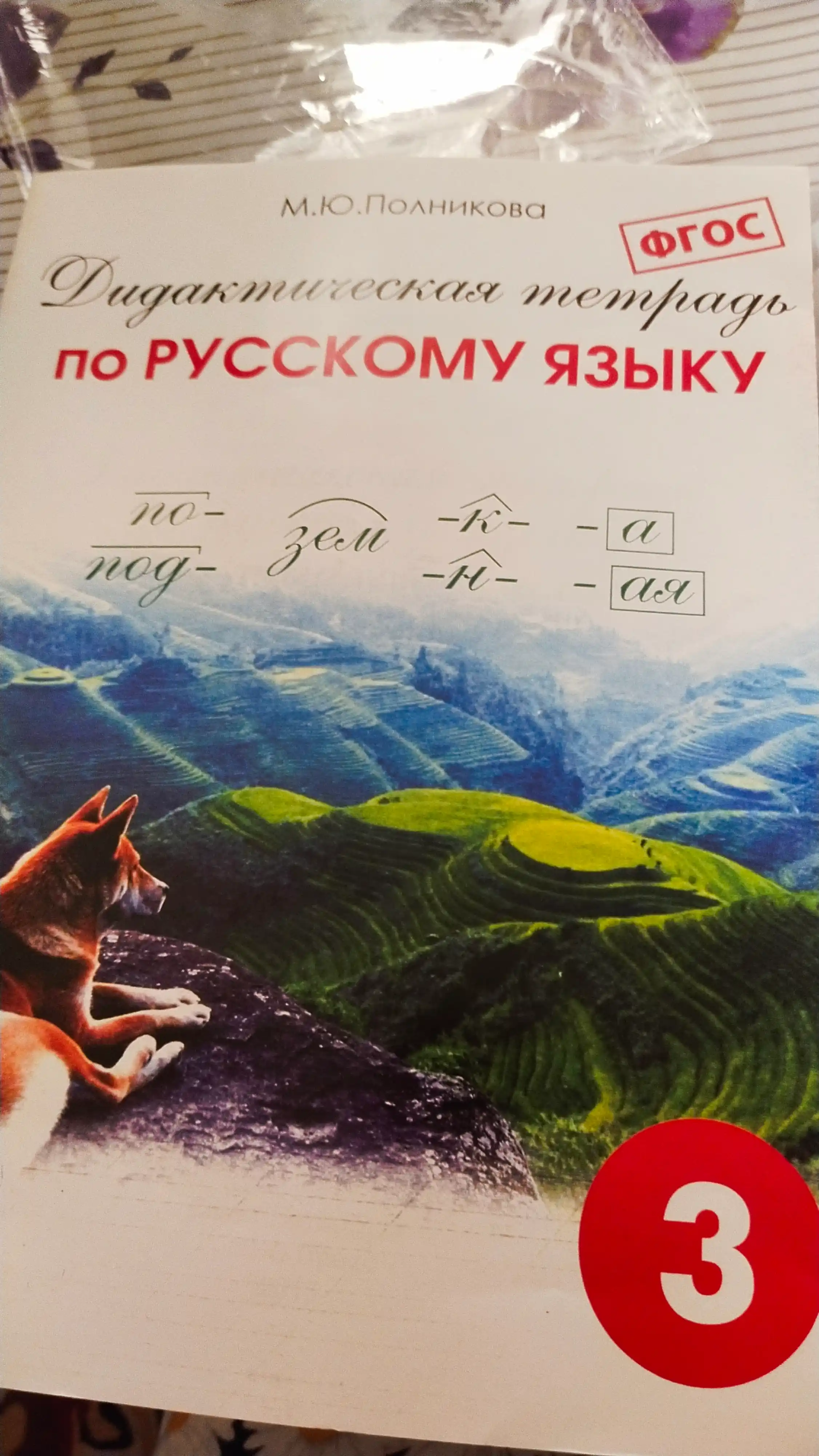 Дидактическая тетрадь по Русскому языку 3 класс, М.Ю. Полникова