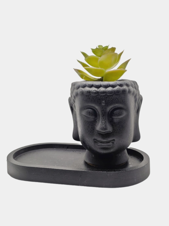 Kashpo "Budda boshi", podstavka va gul bilan to'plamda, va alohida