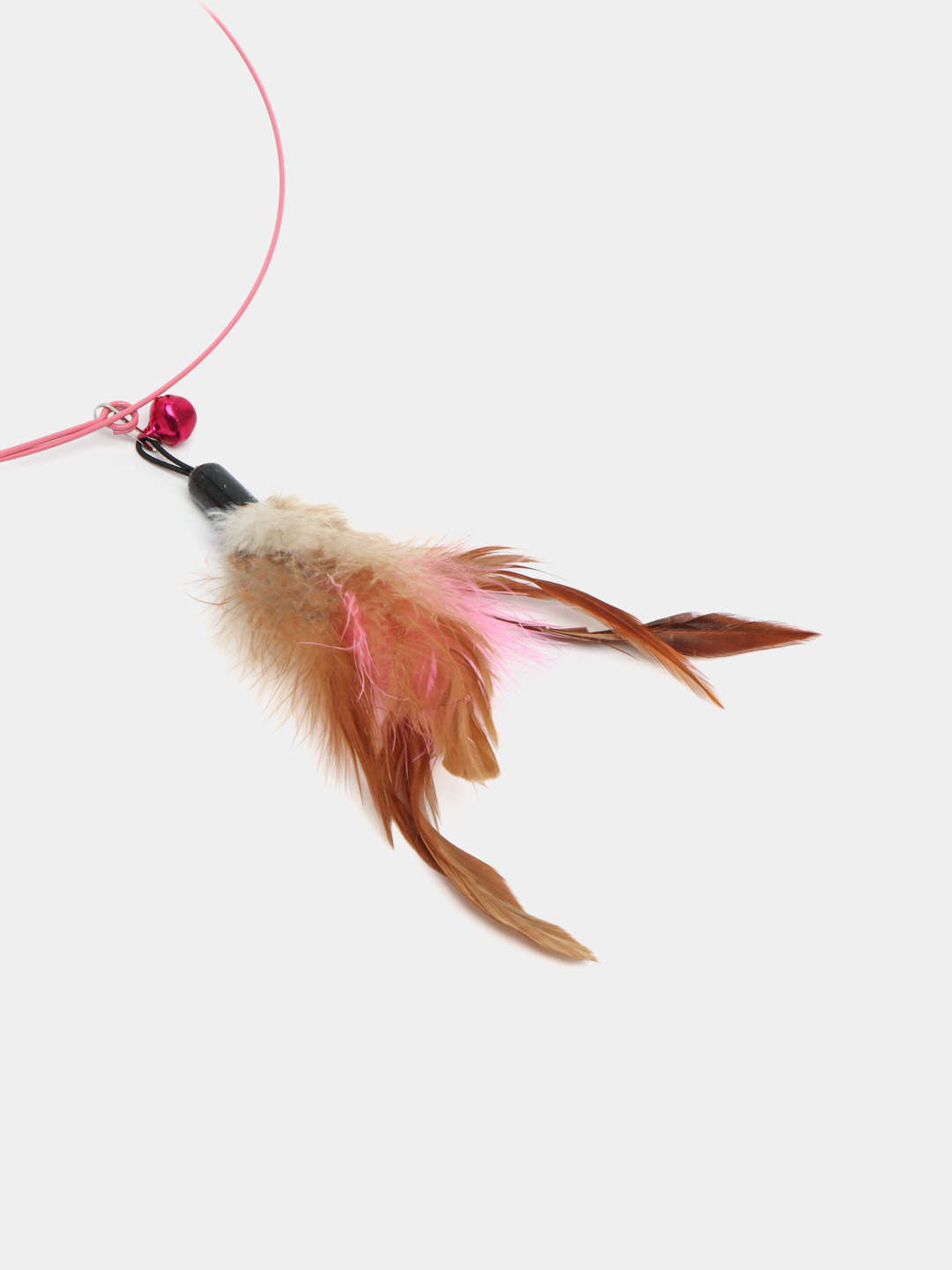 Tukli mushuk va oyoqlari