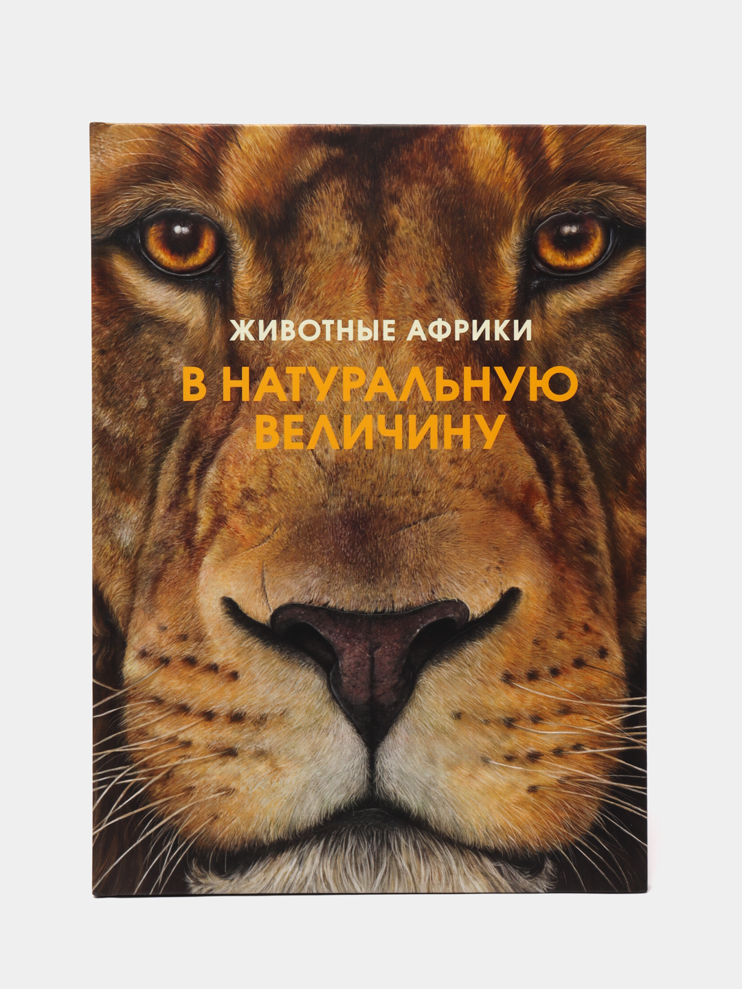 Животные Африки в натуральную величину, Хольгер Хааг купить по низким ценам  в интернет-магазине Uzum (620667)