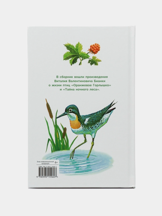 Тайна ночного леса, Бианки Виталий Валентинович
