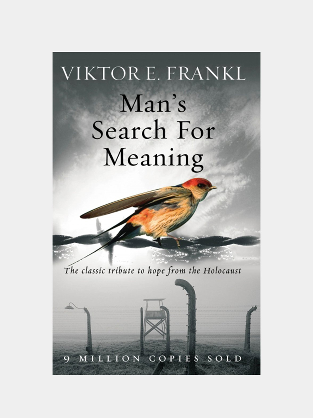 Astronavtlarning erotik sarguzashtlari