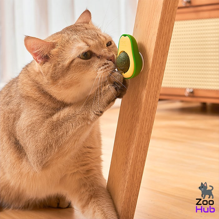 Porno uzoq qorongu Seksi yalangoch ayol