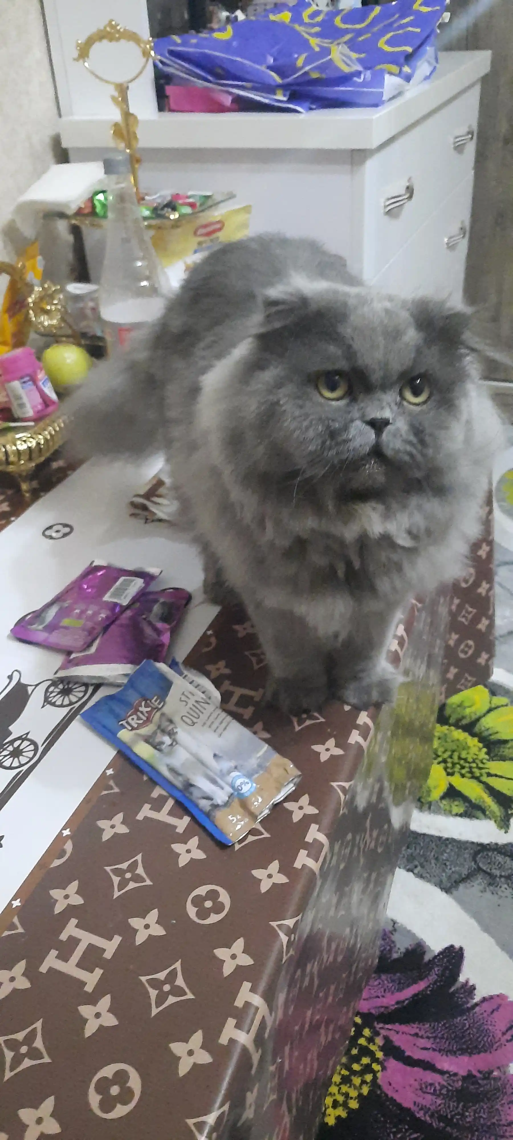 Mushuklar uchun shirinlik Trixie, qo'zichoq va kurka go'shtidan, 5 dona * 5 g