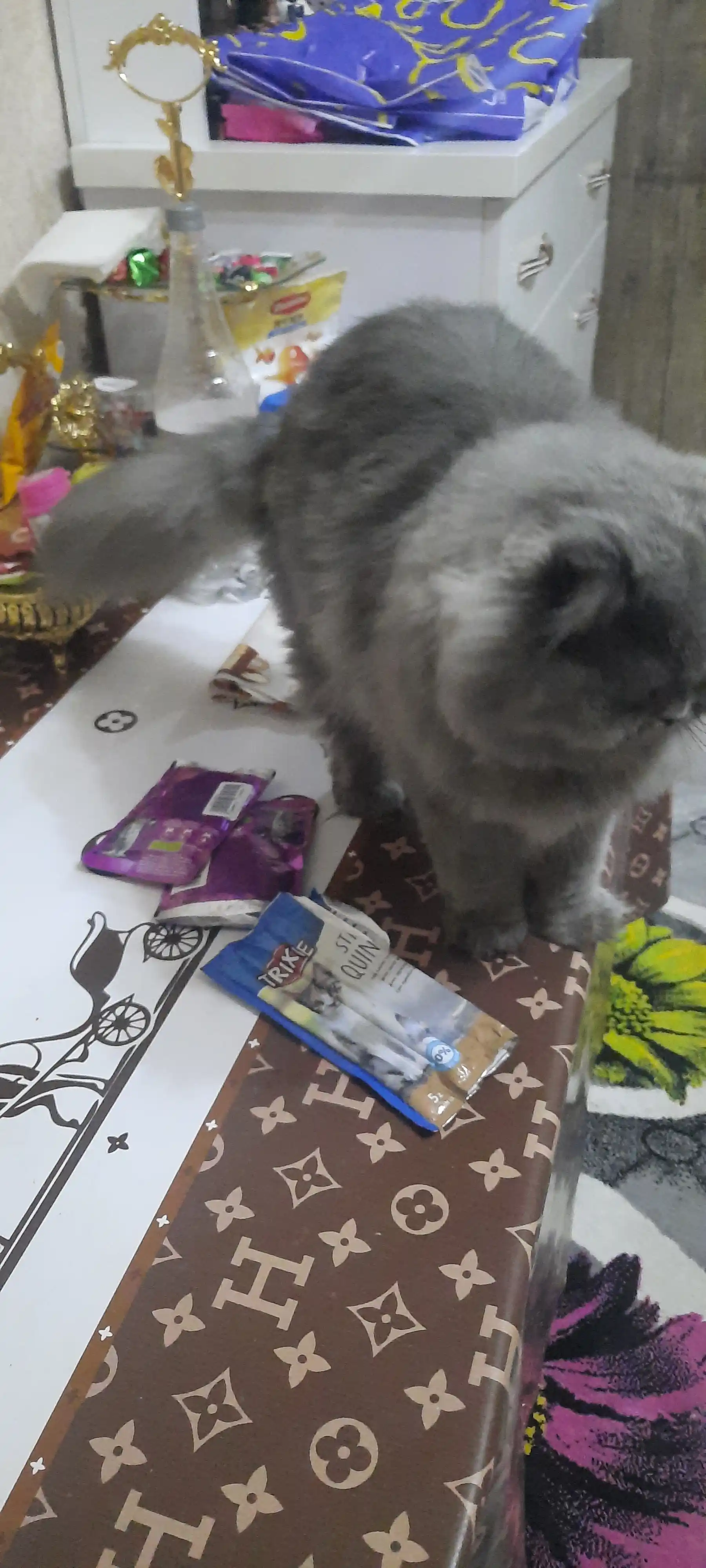 Mushuklar uchun shirinlik Trixie, qo'zichoq va kurka go'shtidan, 5 dona * 5 g