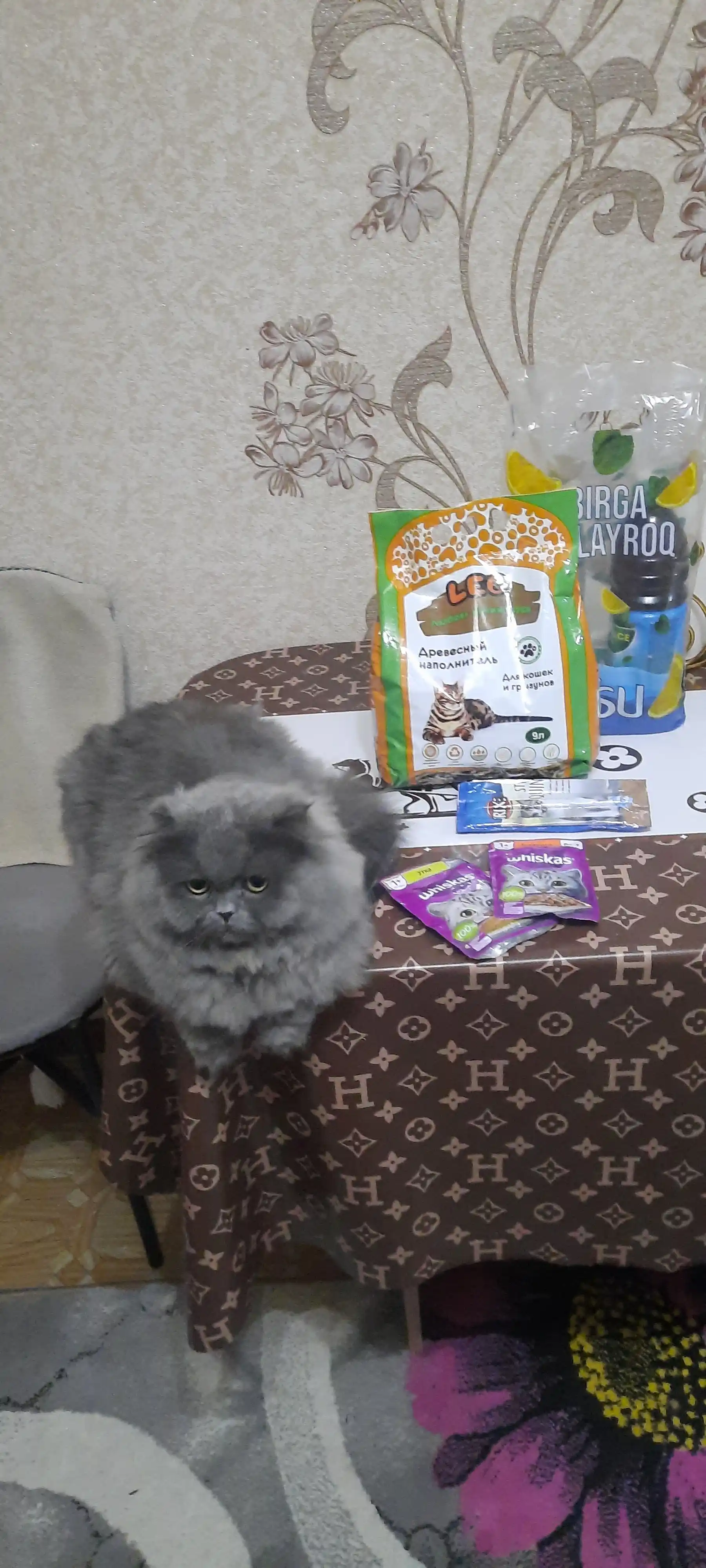 Whiskas Mushuklar uchun nam yem, buzoq go‘shtli ragu, 75 g
