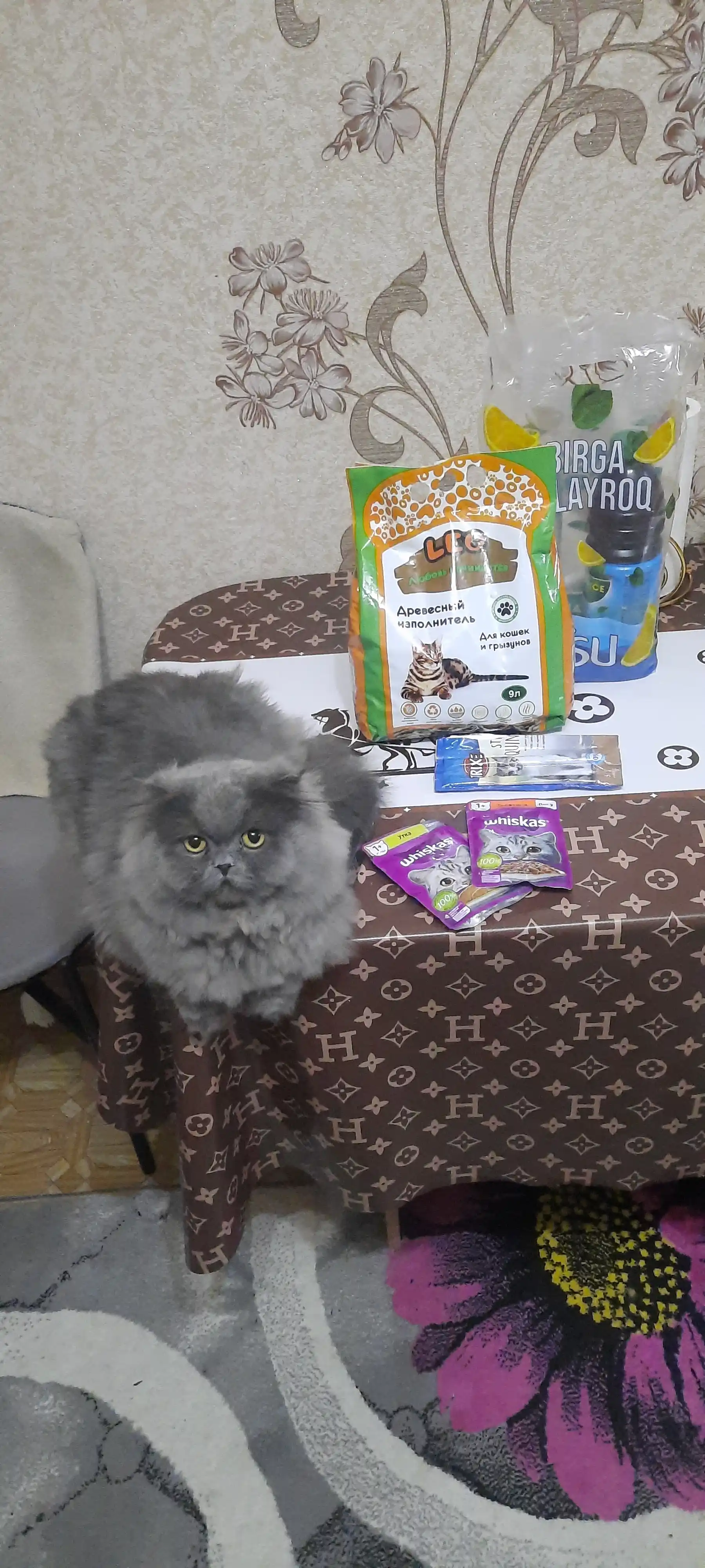 Whiskas Mushuklar uchun nam yem, buzoq go‘shtli ragu, 75 g