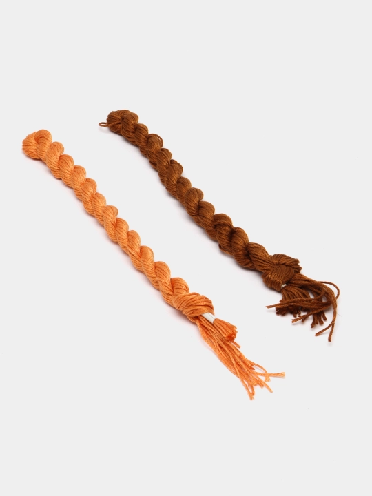 Raqamlar bo'yicha professional kashtachilik