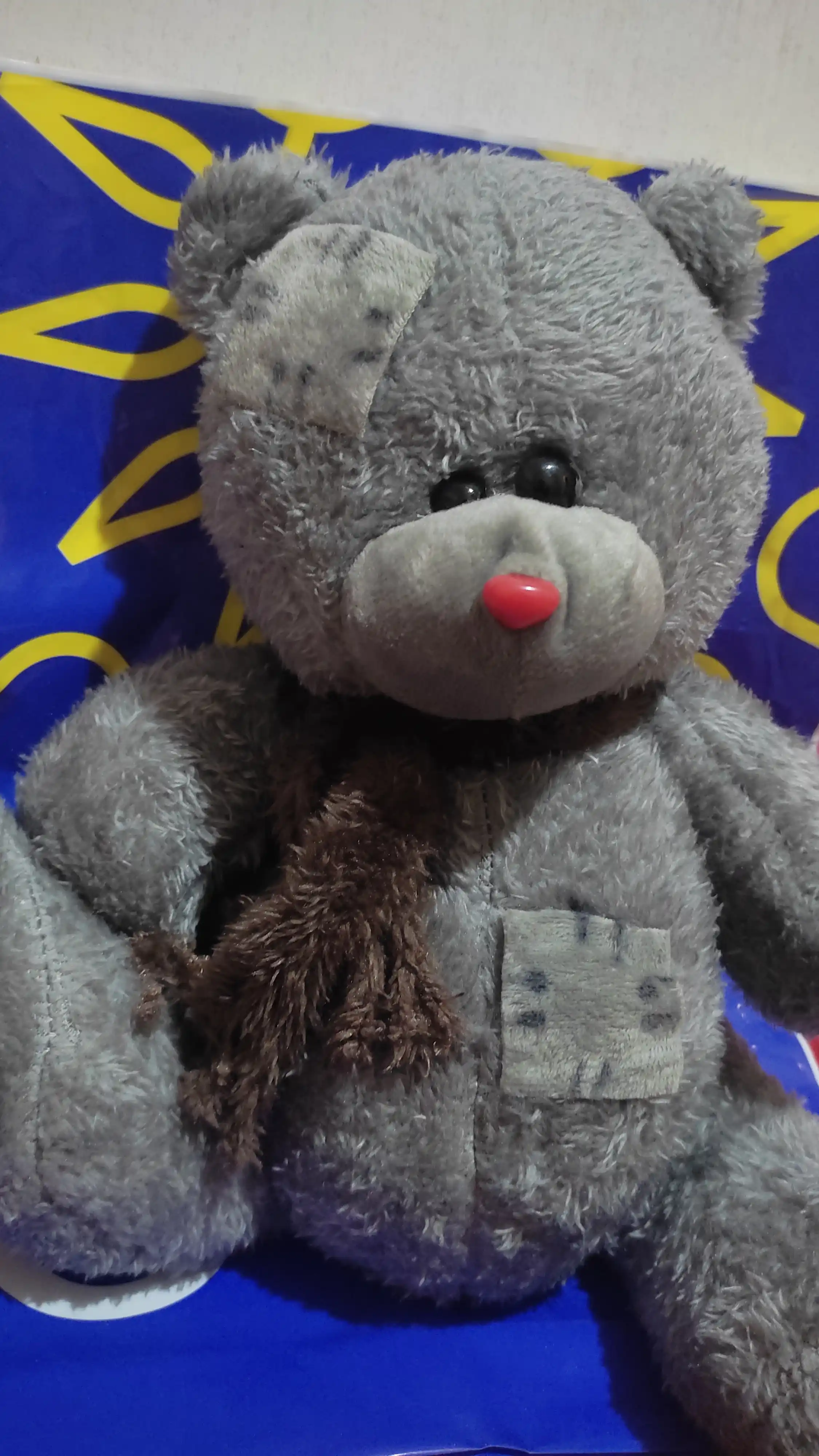 Yumshoq o'yinchoq Teddy