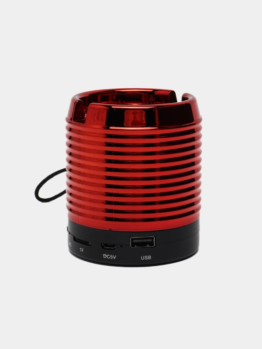 Portativ akustika Yst-892