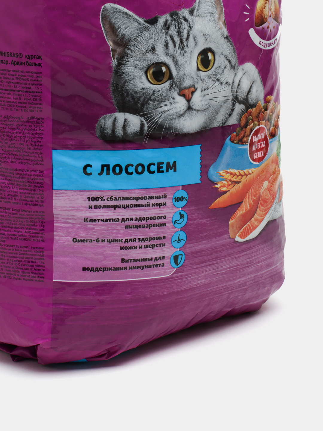 Kichkina sik haqida porno multfilm