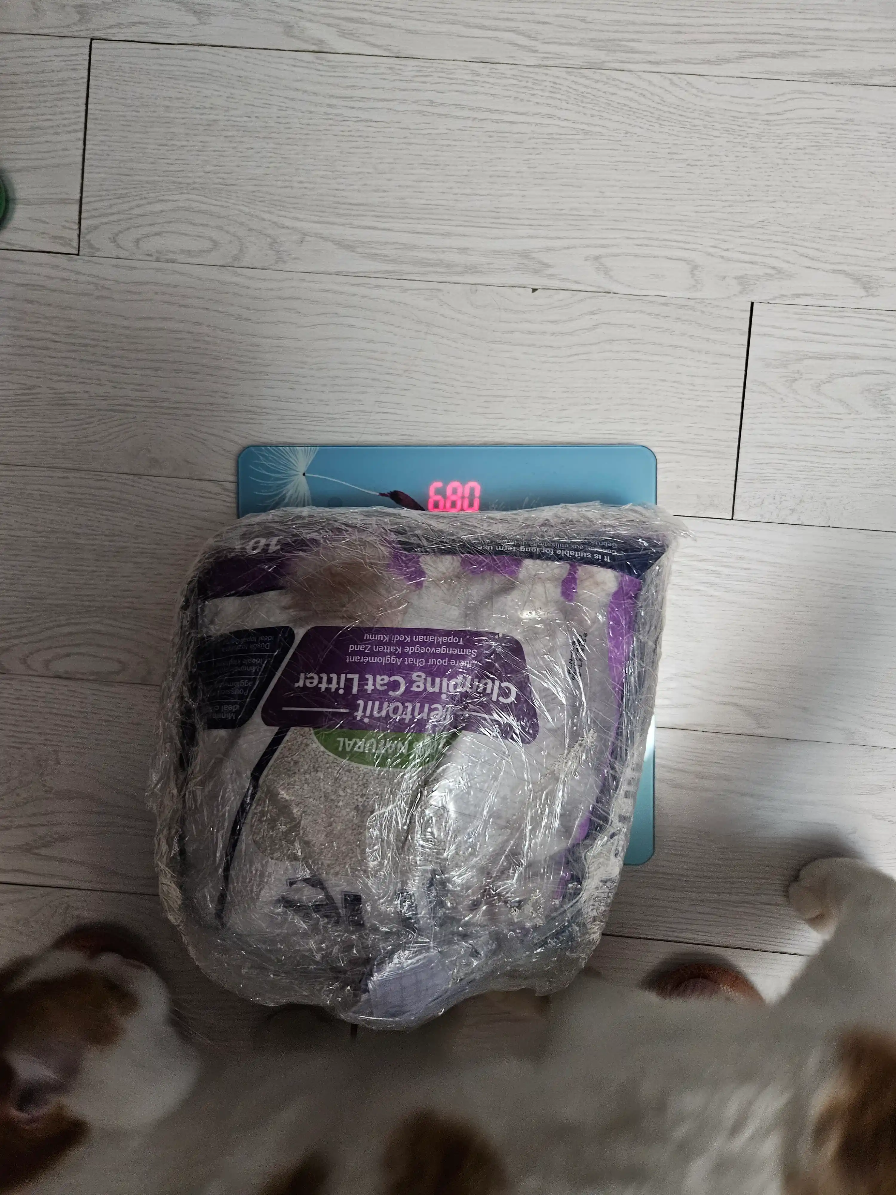 Proline bentonit toldiruvchi lavanda hidi bilan, 8,5 kg