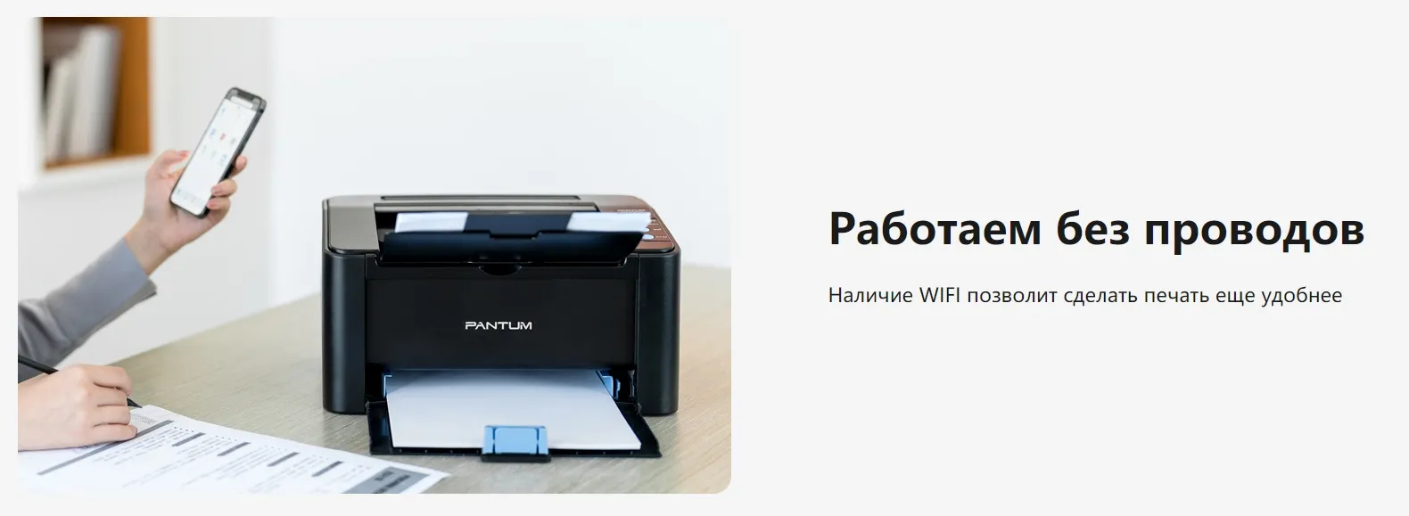 Принтер лазерный Pantum P2500W Wi-Fi монохромный купить по низким ценам в  интернет-магазине Uzum (751384)