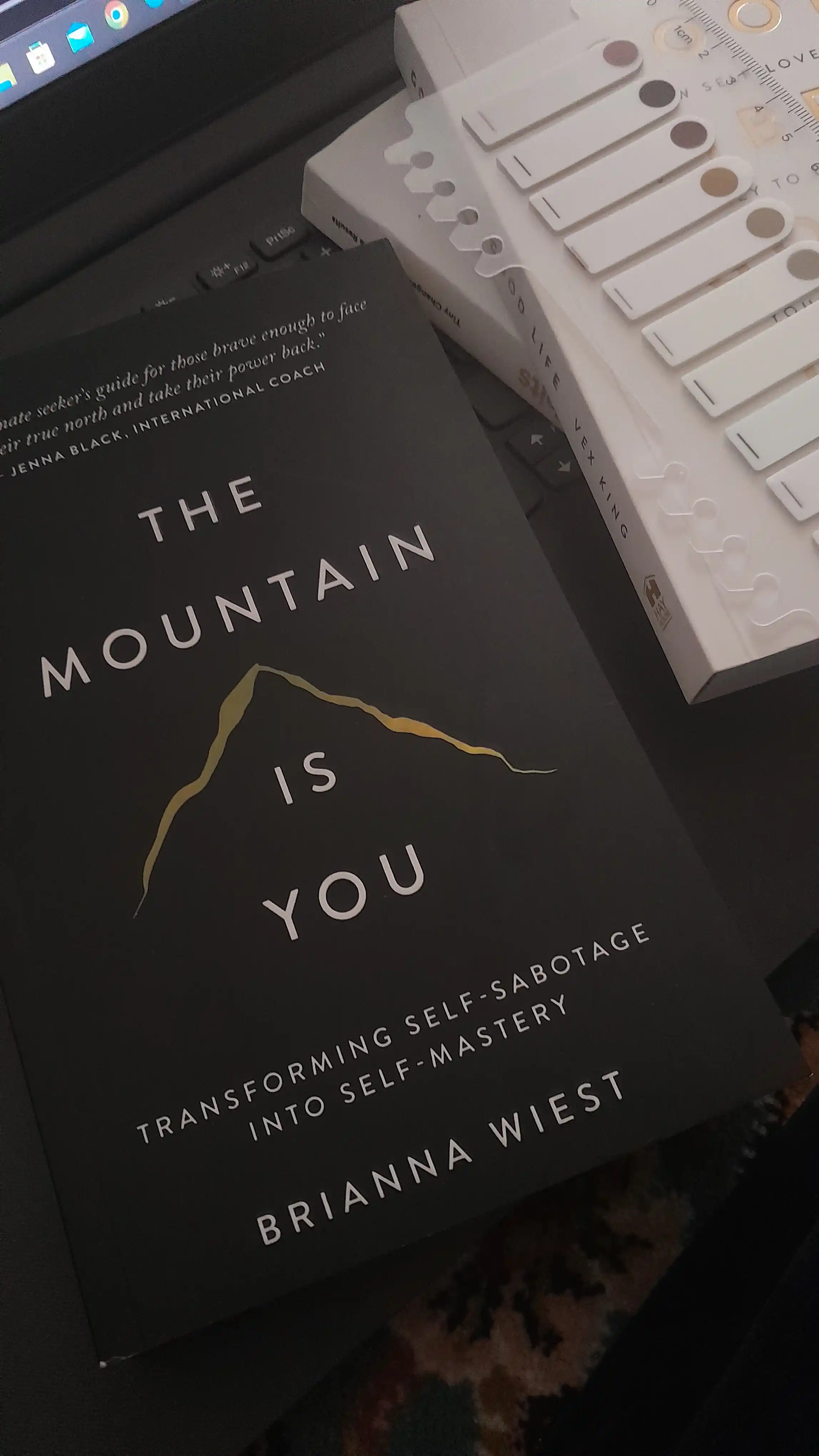 The mountain is you Brianna Wiest