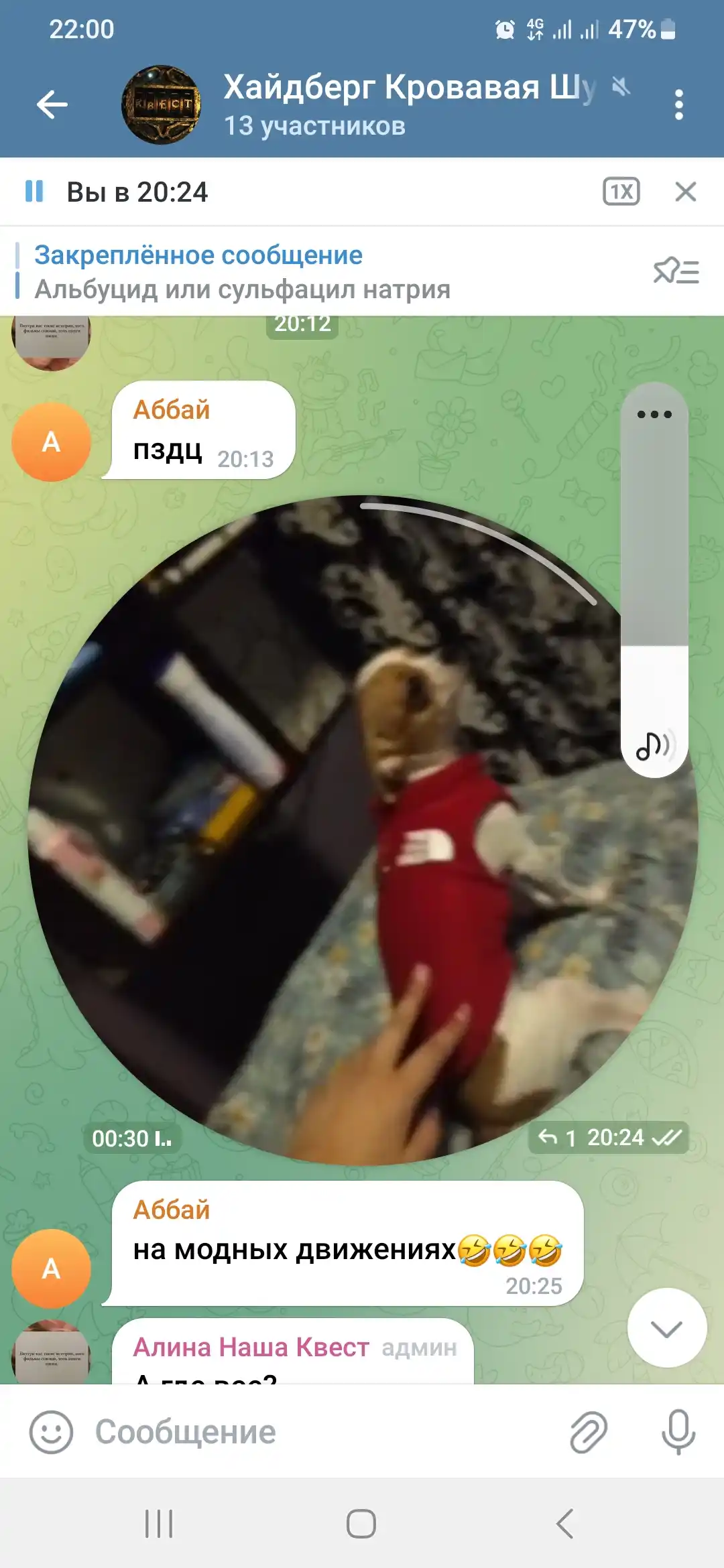 Тёплый жилет для собак, для животных