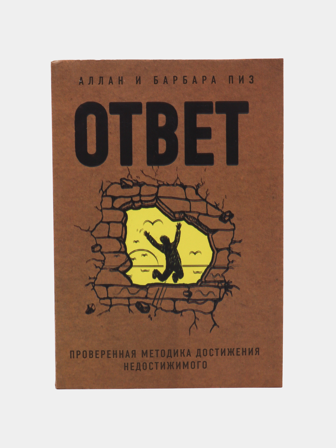 Ответ. Проверенная методика достижения недостижимого, Аллан и Барабар ...
