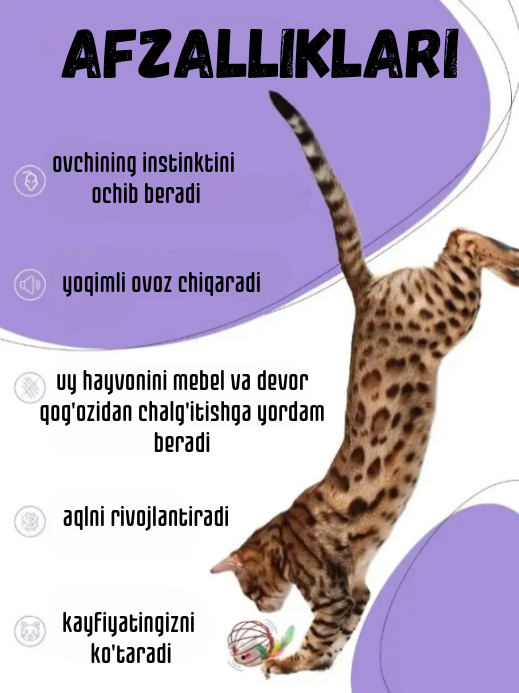 Lateks kiygan qiz qattiq sikiladi Oddiy jinsiy aloqa josuslik qilindi