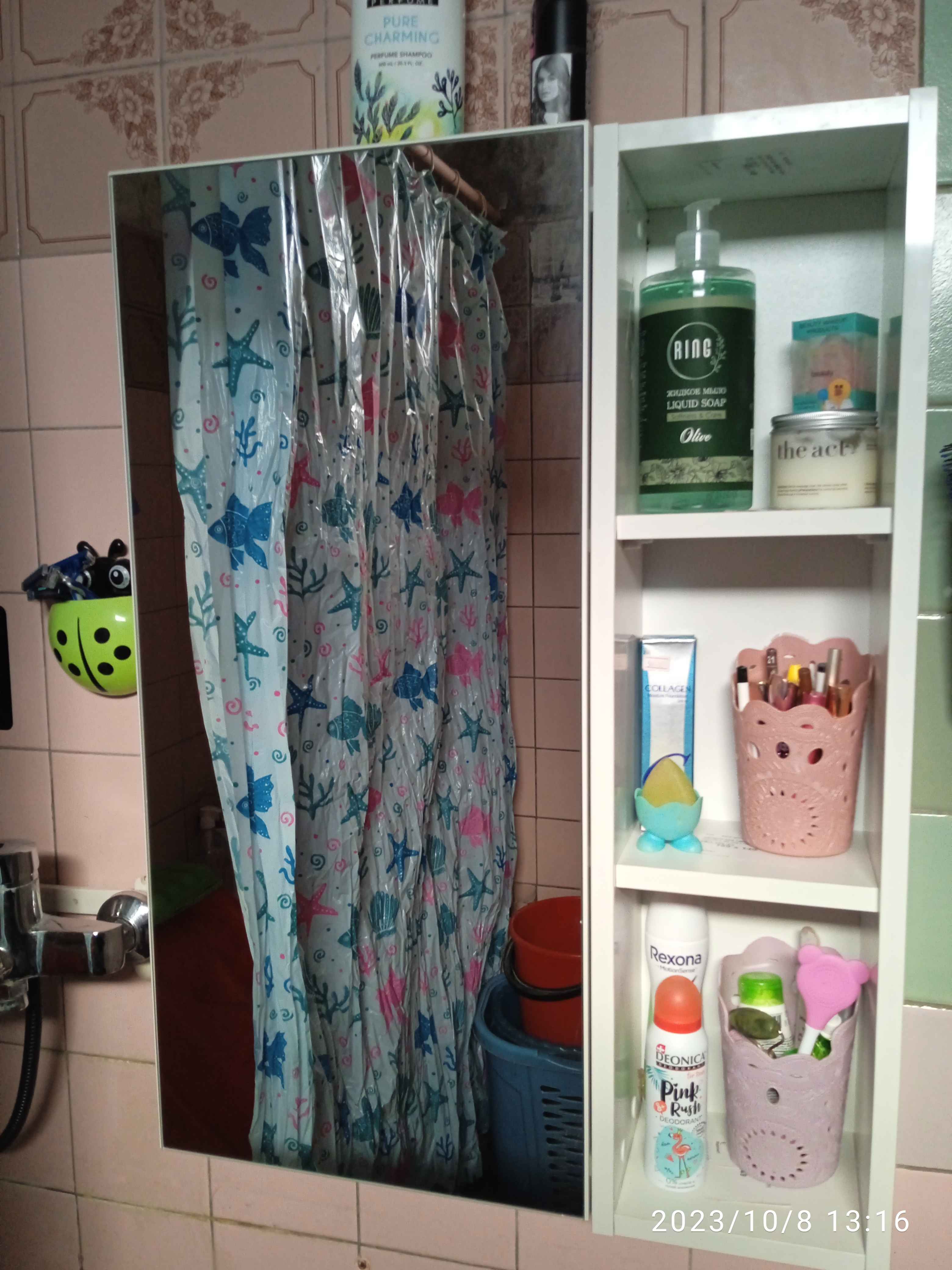 Paypoqdagi lezbiyenlar yalab