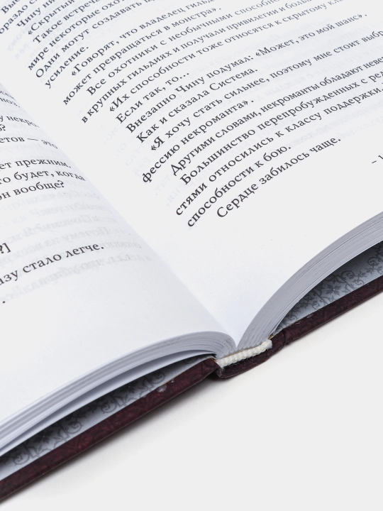 Поднятие уровня в одиночку. Чхугон. Книга 2 (Ранобэ)