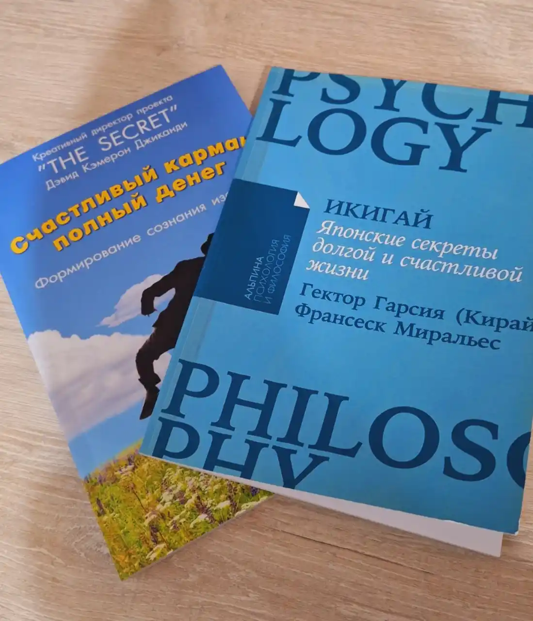 Ikigay. Yaponskiye sekreti dolgoy i schastlivoy jizni, Gektor Garsiya, Fransesk Miralyes