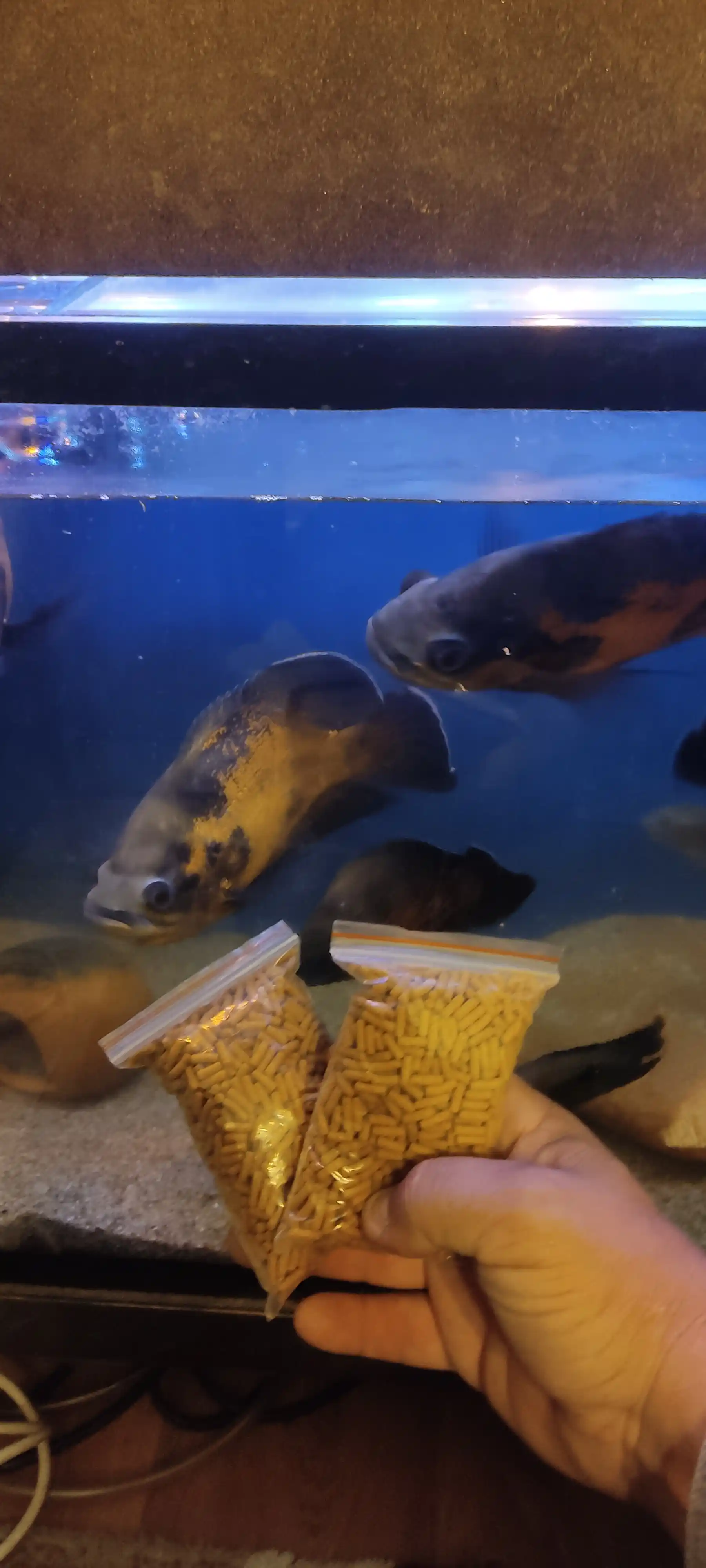 Корм для рыб Tetra Cichlid Sticks, 50 г