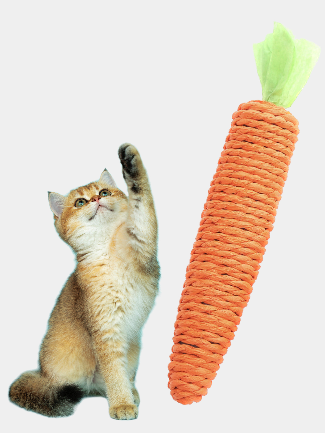 Ochiq vaginali fotosuratlar