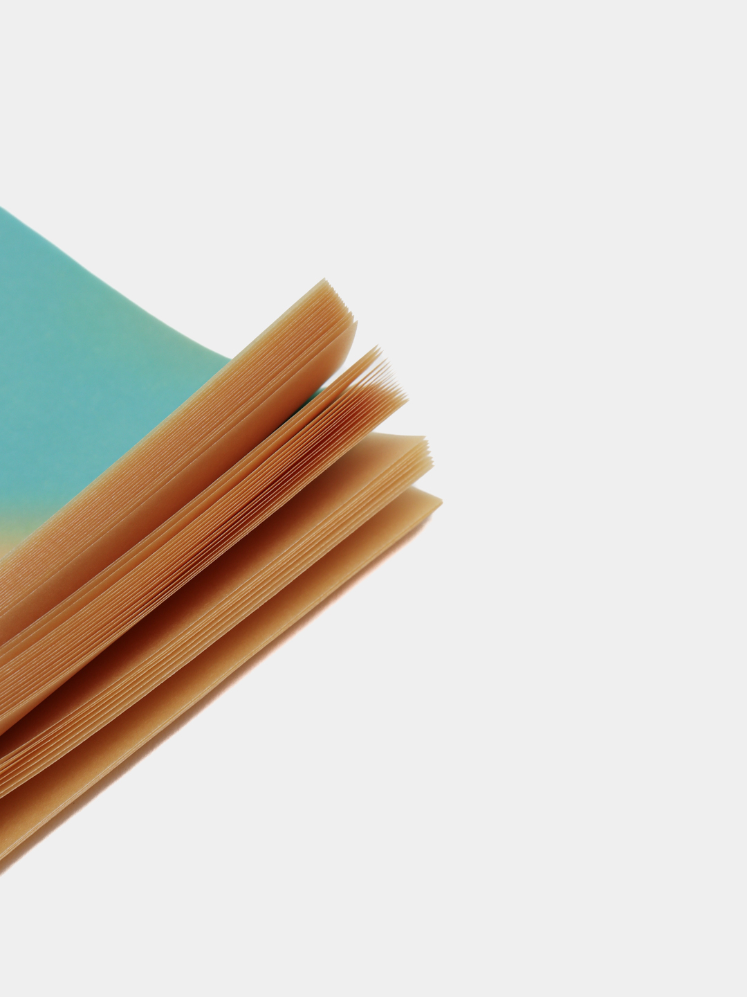 Jlobinda bir martalik yoki ikki kecha-kunduzlik