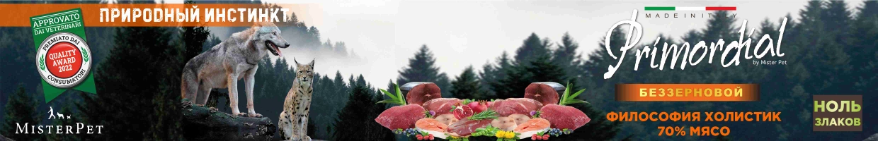 KormaItaly