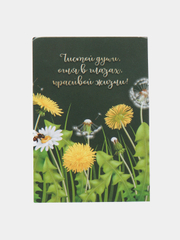 Xitoyda jinsiy aloqa videolar