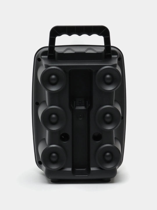 Колонка Soonbox S17 с микрофоном