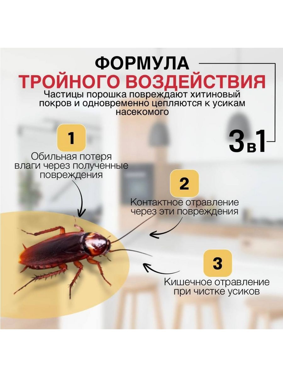 Средство против тараканов Gektor, отрава, ловушка, порошок от насекомых, 1  кг купить по низким ценам в интернет-магазине Uzum (653804)