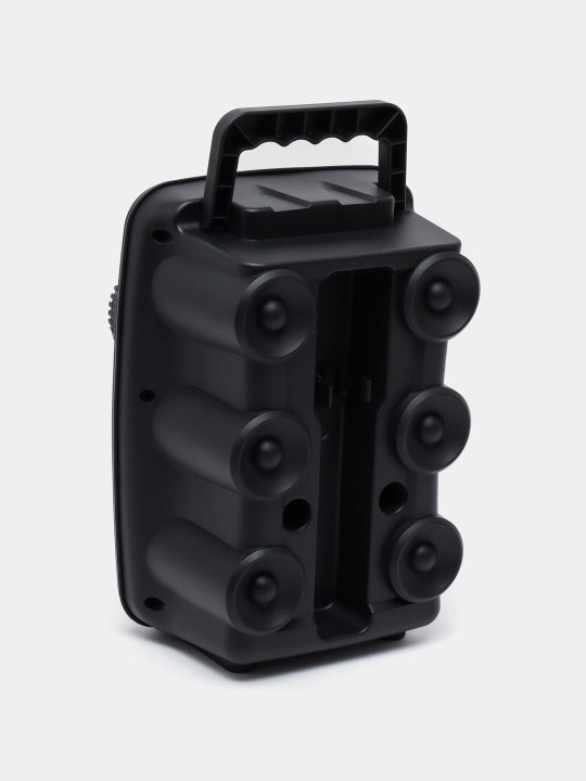 Колонка Soonbox S17 с микрофоном