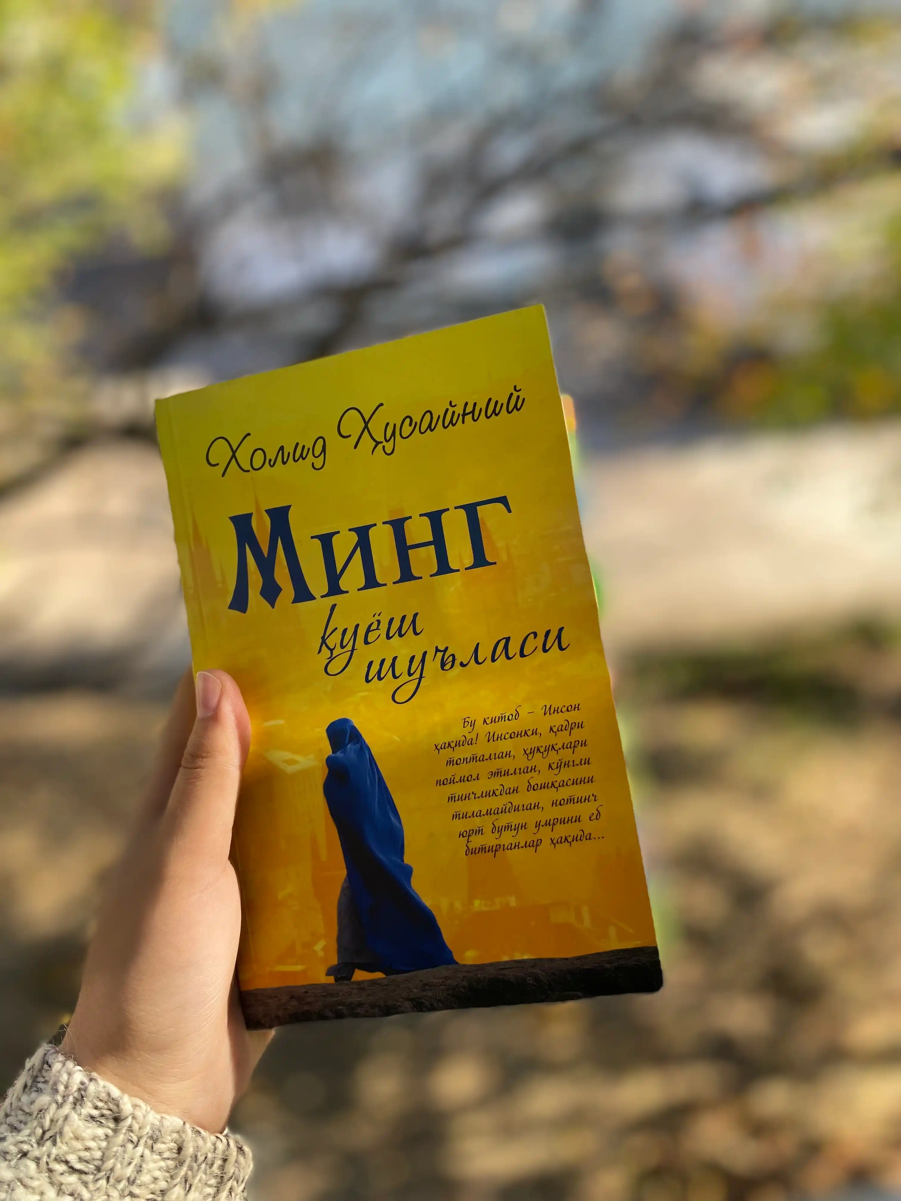 Ming quyosh shu'lasi, Xolid Husayniy
