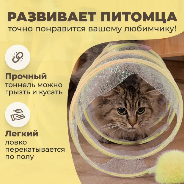 Makkajoxori bogida porno jinsiy aloqa